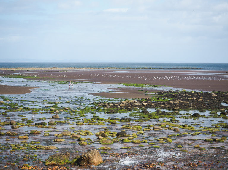 Immigrer en Ecosse en pleine pandémie et avant le Brexit: en randonnée près de la côte à Edimbourg