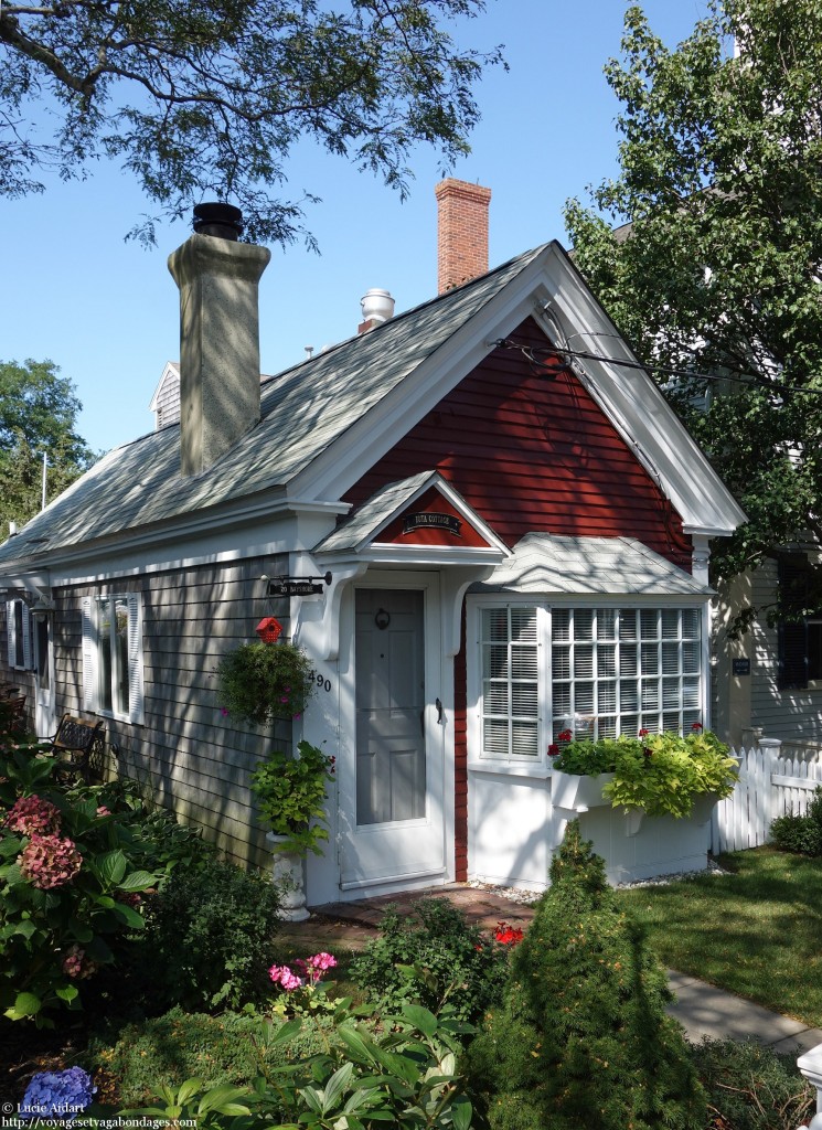 Paisible provincetown