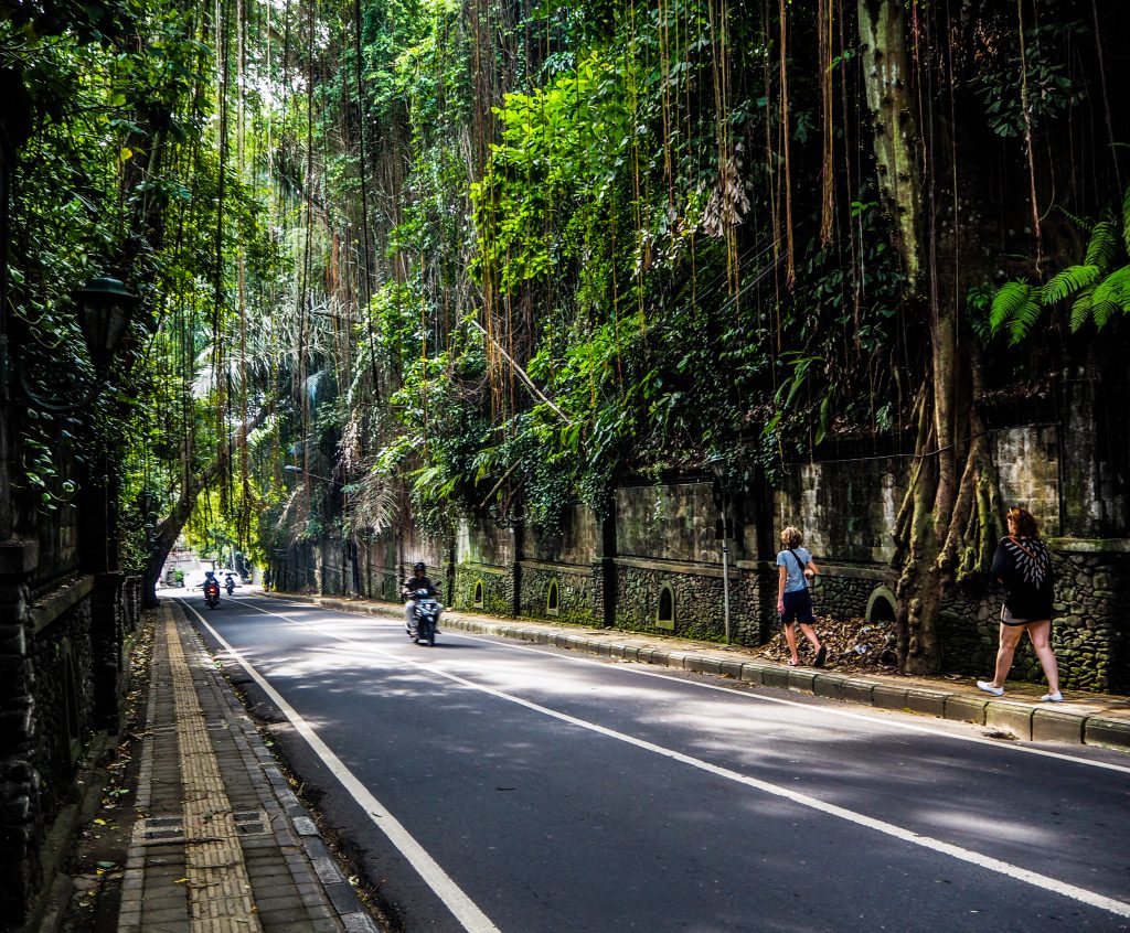 Voyager à Bali en Indonésie: à la recherche de la beauté sur l'île des dieux
