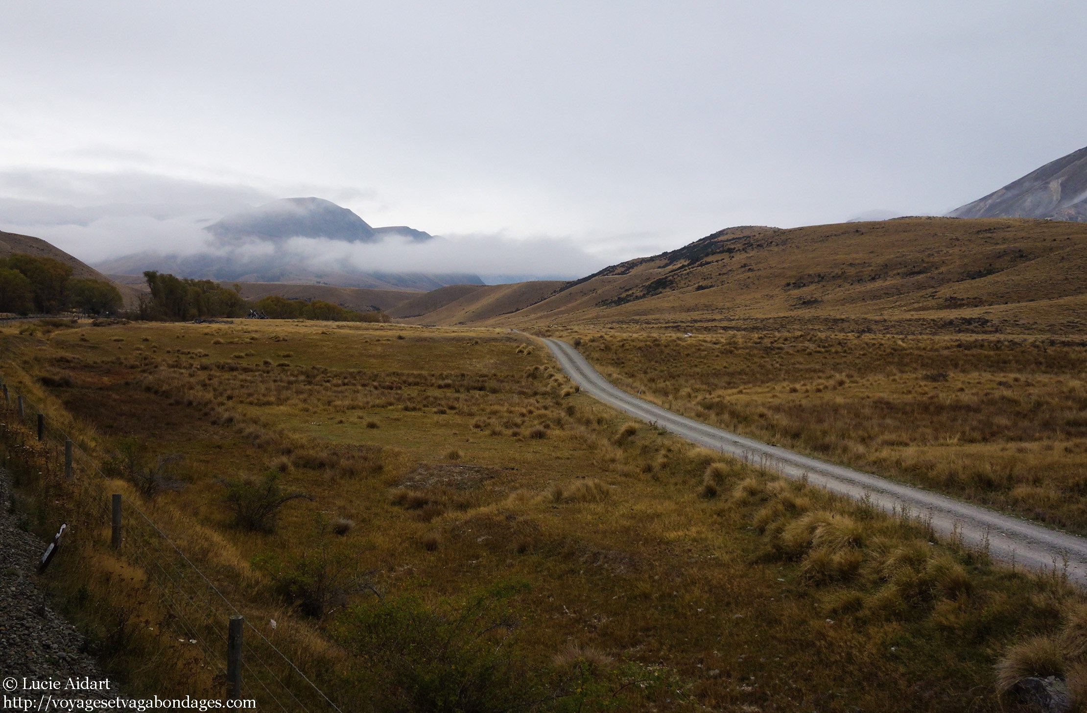 A man riding a mountain bike through a forest