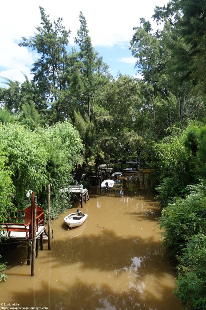 Tigre