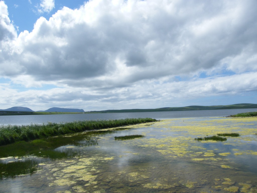 Lochs of Stenness Lochs of Stenness