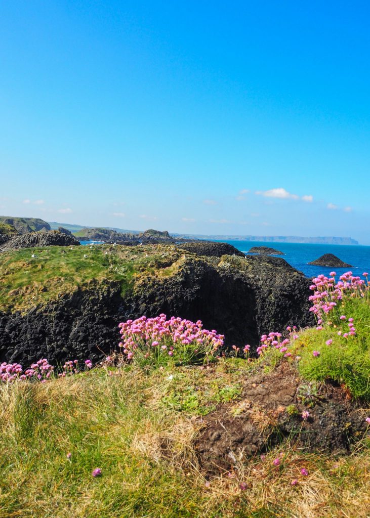 La Causeway Coastal Route en Irlande du Nord: un des meilleurs road-trips au monde: Ballintoy