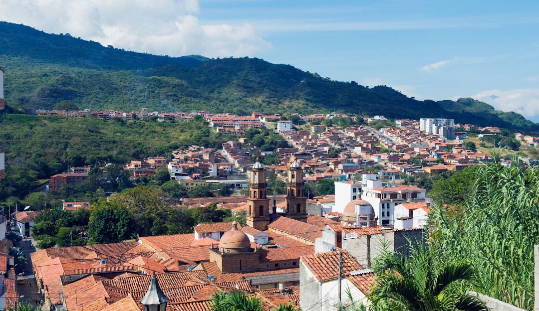 A man riding a mountain bike through a forest