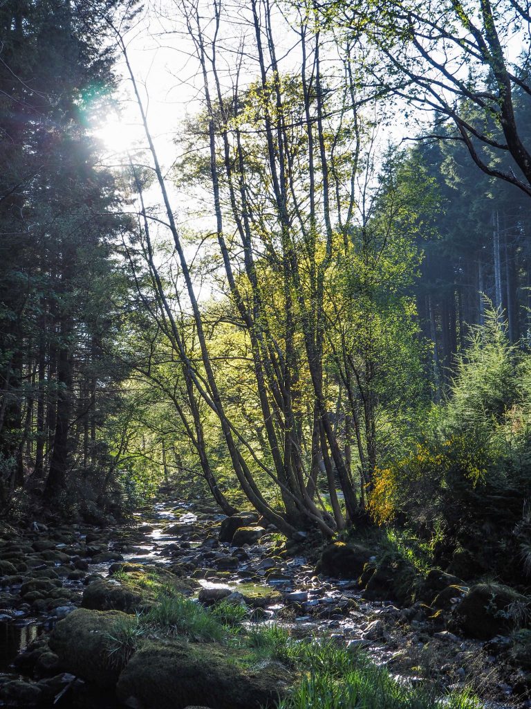 Un voyage en Irlande du Nord sur la traces et lieux de tournage de la série HBO, Game of Thrones