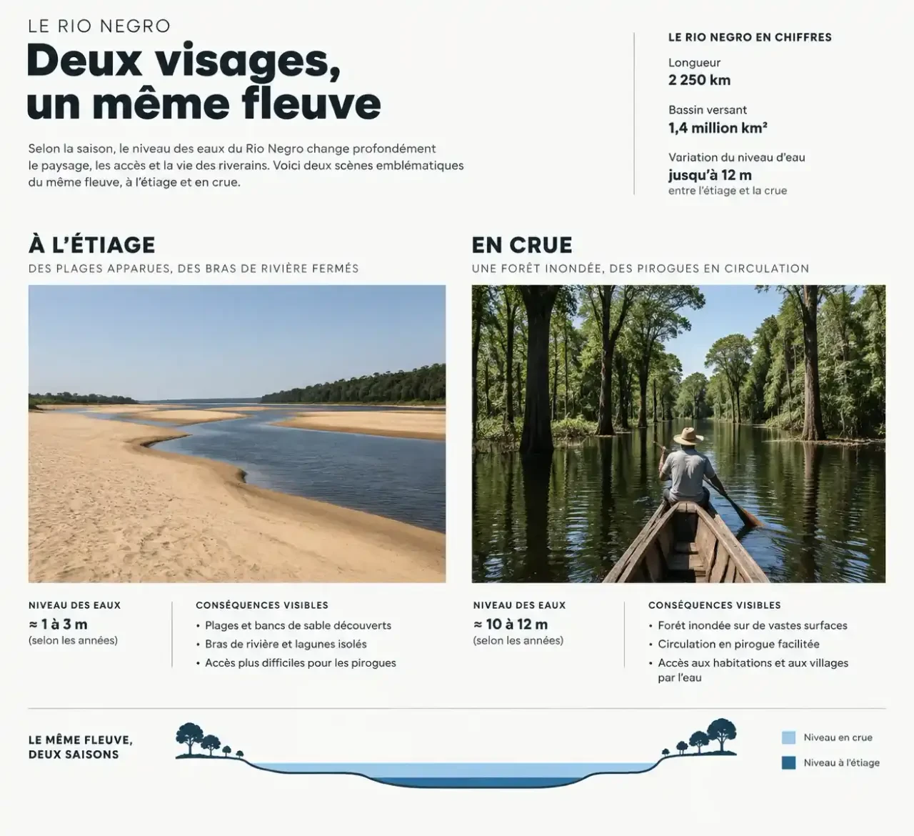 Voyage Amazonie : différence entre étiage et crue du Rio Negro et activités possibles